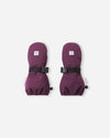 Breezy Violet